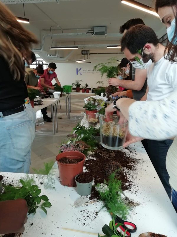 MINI JARDIN, photo 16