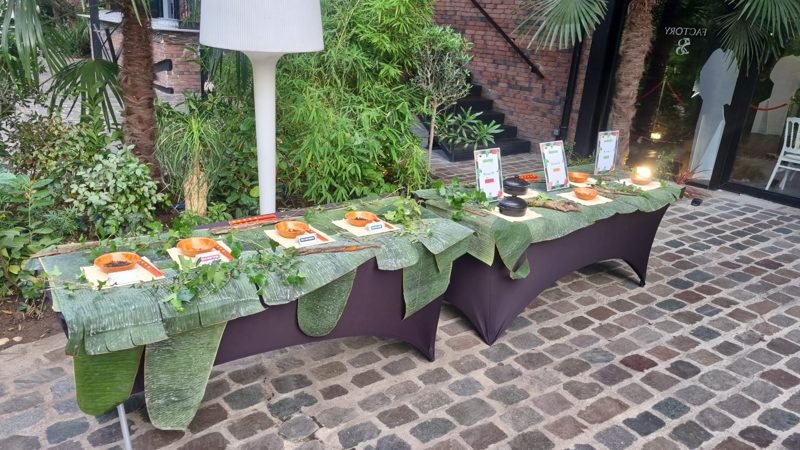 DEGUSTATION D’INSECTES, photo 9