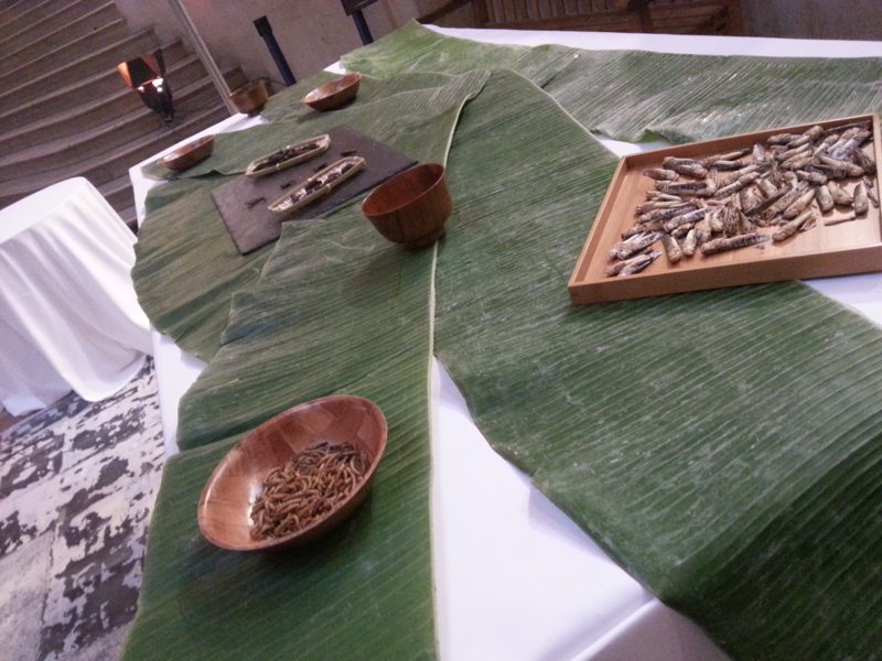 DEGUSTATION D’INSECTES, photo 1