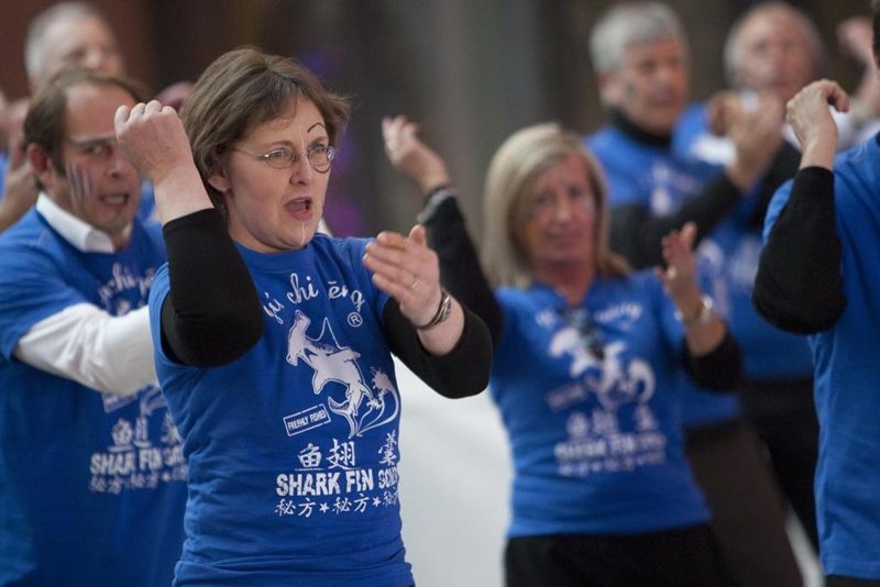 TEAM HAKA - Haka d'Entreprise, photo 9