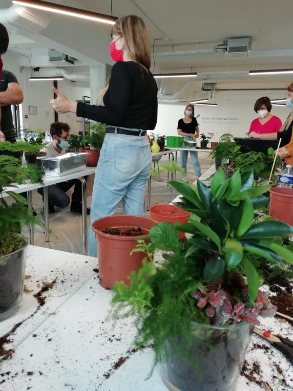 MINI JARDIN, photo 18