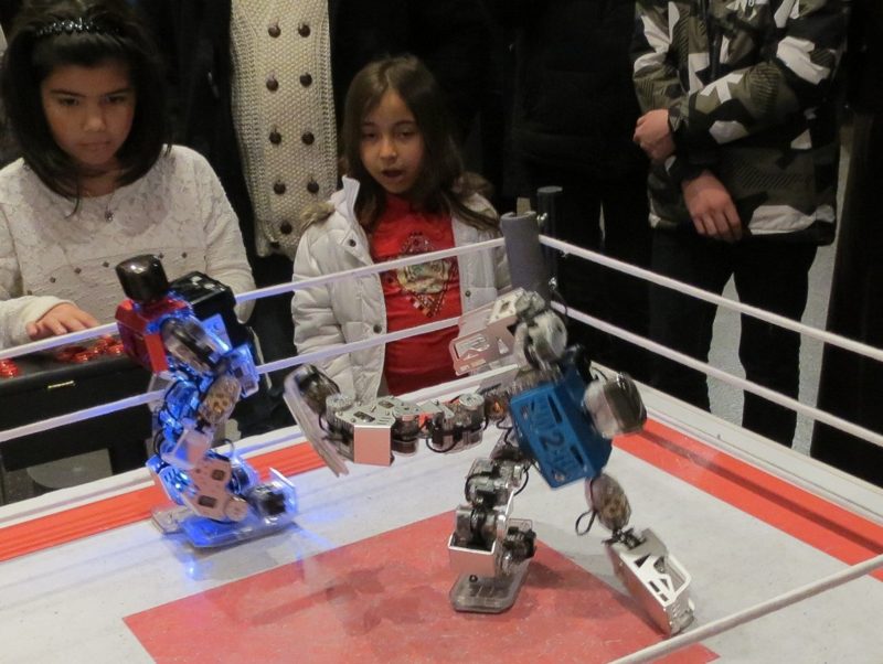ROBOTS BOXE, photo 2