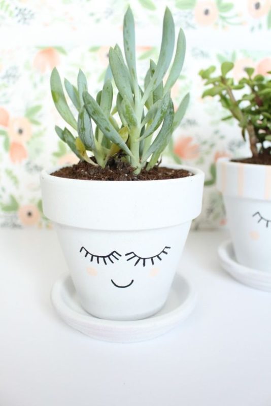 MINI JARDIN, photo 10