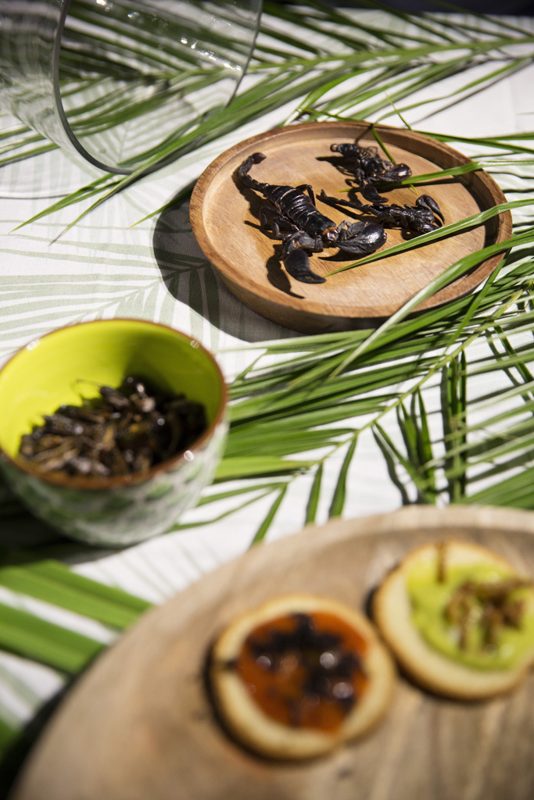 DEGUSTATION D’INSECTES, photo 7